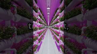 Vertical Farms: The Future of Urban Agriculture #facts #fun #ideas