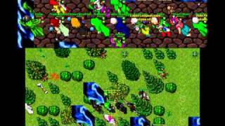 Tibia Nova Warcore vs Deadalus