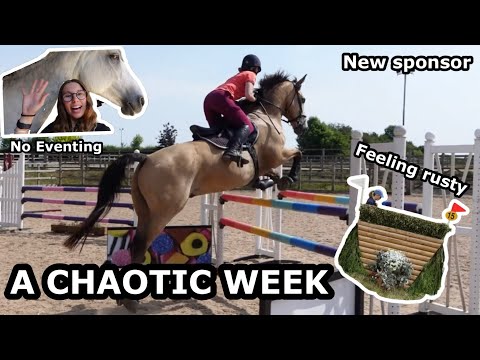 A CHAOTIC WEEK // Not eventing, new sponsor, feeling rusty and a heatwave!