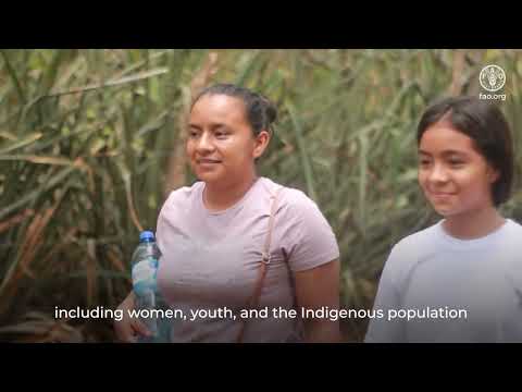 RECLIMA Project: Restoration with Local Stakeholders in Cerro Cacahuatique, El Salvador