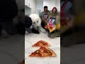 Eating Racing Challenge with My Dog #funnydog #dograce #dogchallenge #shorts