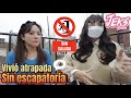 COLOMBIANA VIVIÓ ATRAPADA EN UN EDIFICIO SIN SALIDA EN COREA - Latinos en Corea con JEKS #4