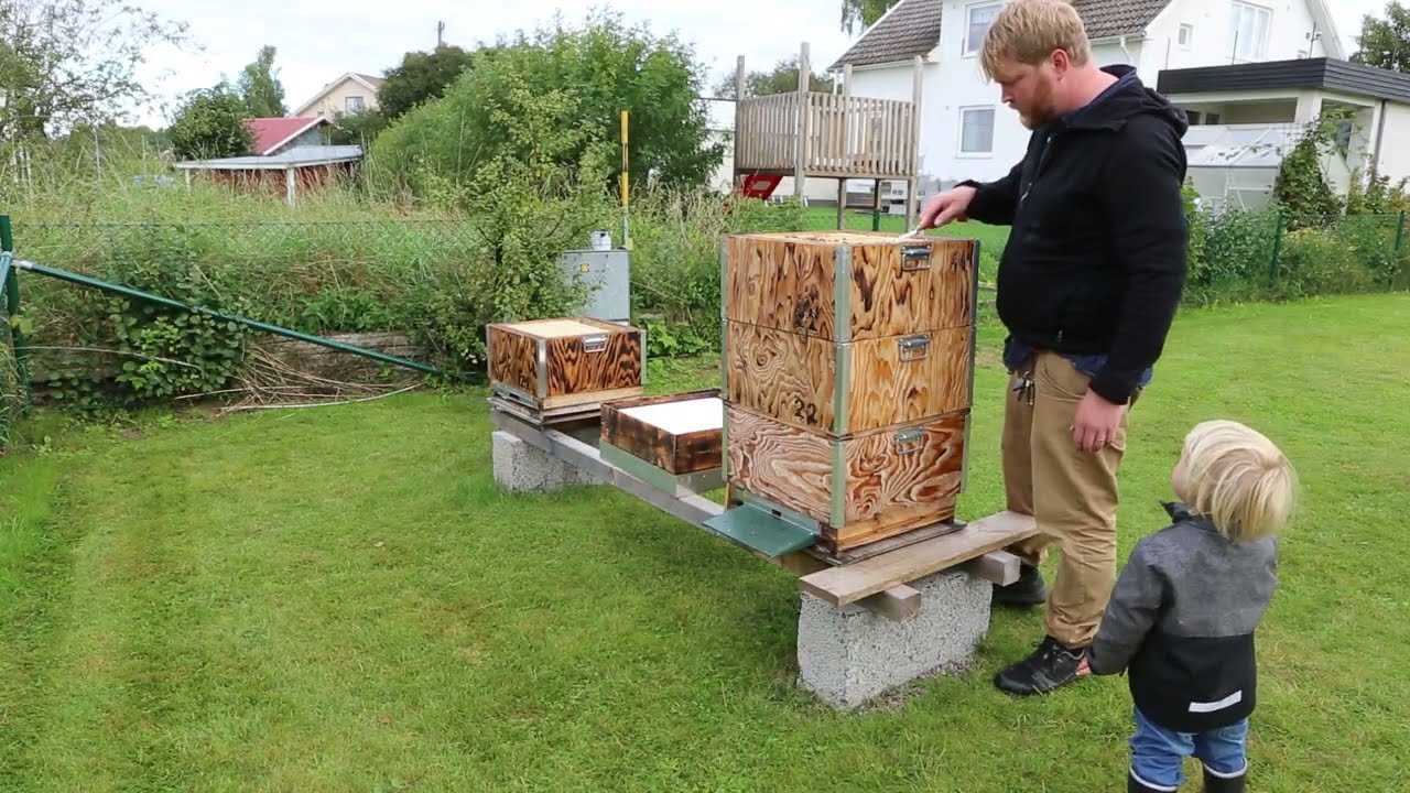 Insockring av kupan vinter 2022