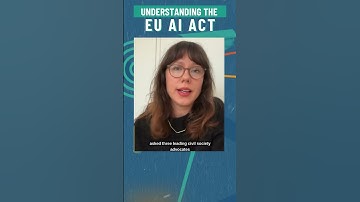 Understanding the EU AI Act