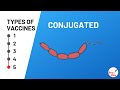 conjugate vaccine - YouTube