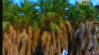 Yemen Travel tourism Kamaran Island 1