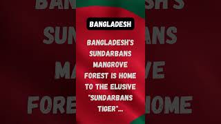 Bangladesh's Sundarbans Mangrove Forest is home to the elusive 