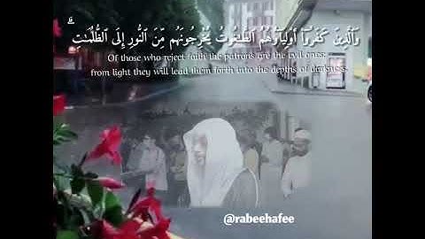 أرح مسمعك ..🎧 تلاوات القارئ : محمد ربيع الحافي