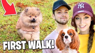 Our Puppy’s FIRST WALK (SUPER CUTE)