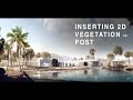 Inserting 2D Vegetation in Post Production