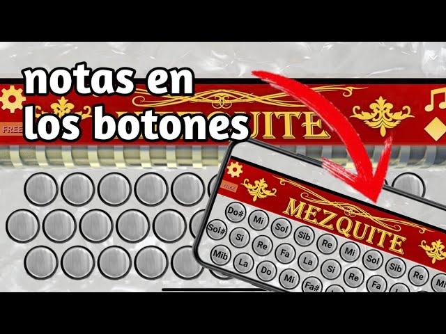 Como poner nombre de Notas en Botones | Acordéon Mezquite - YouTube