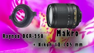 16 - Makro - Nikon 18-105 + Raynox DCR-250