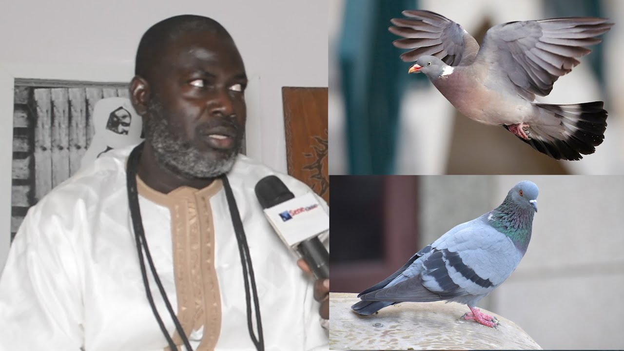 kéem taan gi yalla def ci 