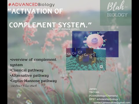 ADVANCED BIO : Complement System.