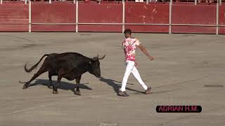 La Vall d&#39;Uixó(Cs) 27-06-2021 Concurso Esencias de la Calle con vacas de La Paloma