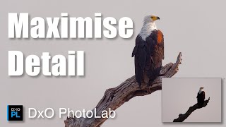 Dxo Photolab: Ai Tools For Smarter Edits & Better Detail
