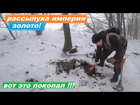 Видео: ЗИМОЙ ЗОЛОТО из-под СНЕГА! Да НУУУУУУУУ!  ПРАВДА! ПРЯМО под СНЕГОМ ЛЕЖИТ!