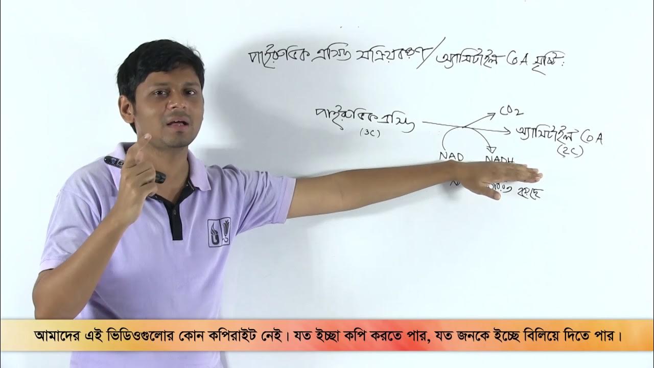 Kotibalarning porno suratlari Qiz birinchi marta minut beradi video