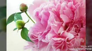 हे जग पिता हे जग प्रभु | Bhakti Geetanjali | Swami Ramdev | om yoga bhajan