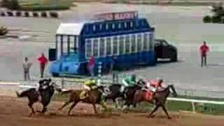 Corrida de cavalos - Horse race screenshot 5