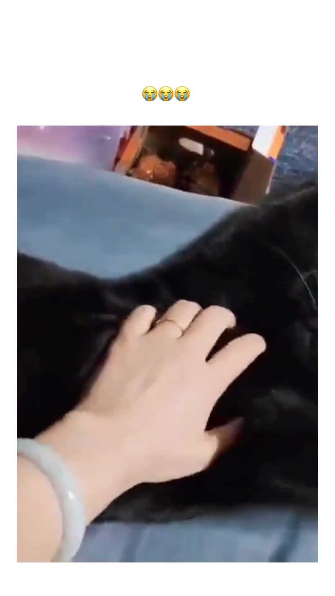 Kittyo like it’s time to just enjoy my life with some prvnci