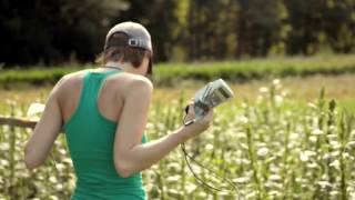 In the Weeds