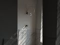kitchen taps नल fitting!#plumbing #kitchen #plumber #shorts
