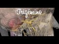 Trigémino - Parte 1 - Origen y Trayecto Anatomía 3D tipscirubucal
