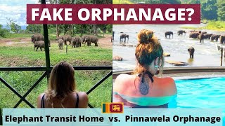 Pinnawela Elephant Orphanage vs. Elephant Transit Home | Which one to AVOID! | Sri Lanka 🇱🇰