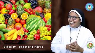 Celebrity Thamarassery| Online Catechism| Class 4| Chapter 1| Part 1 Profile
