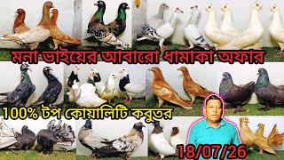 মনা ভাইয়ের ধামাকা অফার 100% টপ কোয়ালিটি কবুতর কিনুন। 