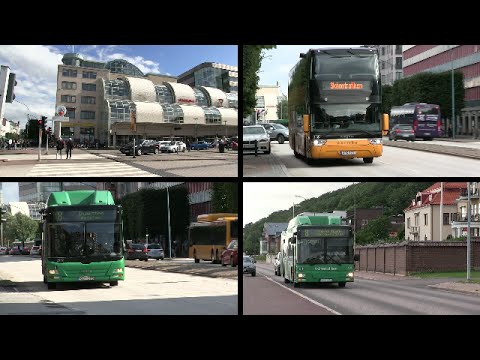 Video: Buss Med Transfobiskt Budskap Orsakar Kontroverser I Madrid