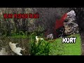 SÜRÜSÜNÜ KORUMAK İÇİN CANINDAN OLAN KANGAL KÖPEĞİ ( 3 DOG 1 BİG WOLF )