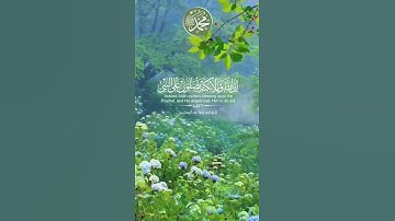 آية الصلاة على النبي ¦¦ القارئ رضا عبدالمحسن #حالات #ستوري #سناب