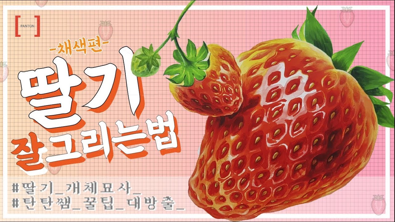 딸기 그리기 어렵지 않아요~! 자연물 꿀팁 대방출!! 🍓 탄탄쌤과 기초디자인 채색 뽀개기! #개체묘사