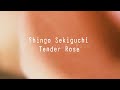 Shingo Sekiguchi - Tender Rose [Official Audio]