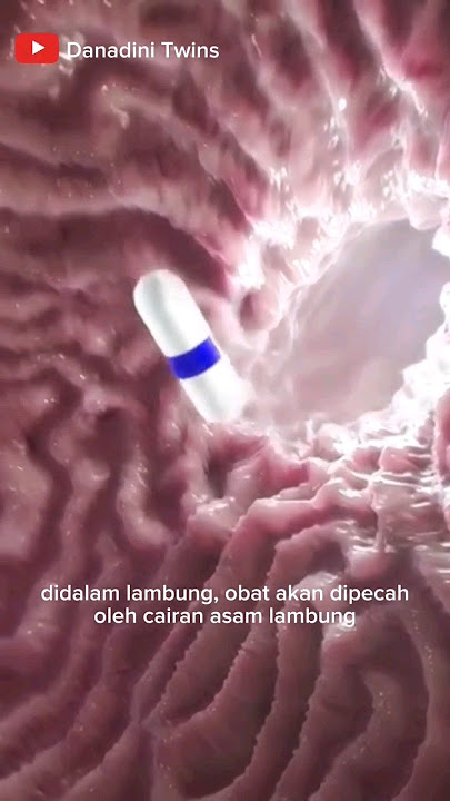 perjalanan obat dalam tubuh #mekanismeobat #farmakologi