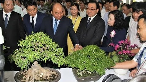 Toàn cảnh triển lãm đẳng cấp Thanh Hà Hải Dương