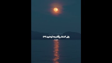 وَفِى ٱلسَّمَآءِ رِزۡقُكُمۡ وَمَا تُوعَدُونَ | قرآن كريم | سورة الذاريات
