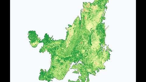 Raster Timeseries Manager (QGIS Plugin) - 30m Enhanced VI for the Brazilian savanna (full extent)