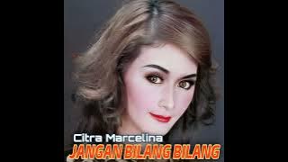 Jangan Bilang Bilang (Remix)