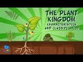 The Plant Kingdom: Characteristics and Classification | Educational Videos for Kids