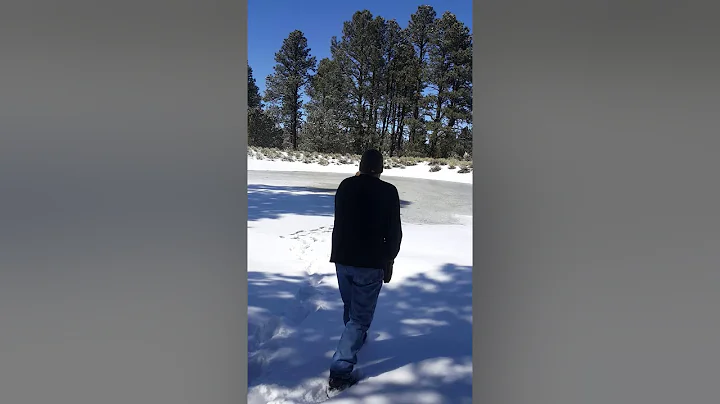2018 Epic Ice Fail Parks, AZ