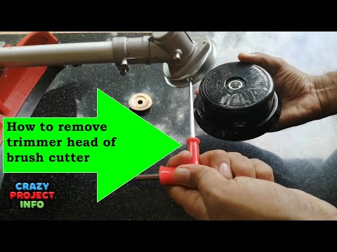 Trimmer head |