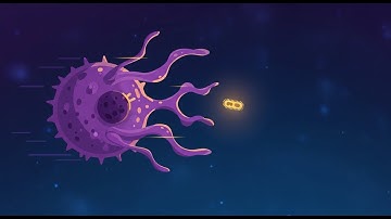 The Army Inside You: How Humanity Discovered The Immune System