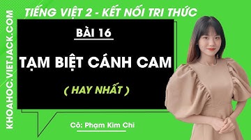 Tiếng Việt lớp 2 - Bài 16: Tạm biệt cánh cam - Trang 64, 65, 66, 67 - Kết nối tri thức (HAY NHẤT)