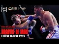 Domination  filip hrgovic vs mark de mori fight highlights