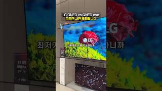 LG QNED vs QNED evo AI 핵심 차이점! 선택 가이드 LG TV 추천! 86인치 75인치
