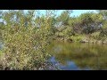 Understanding Ecosystems and Limiting Factors