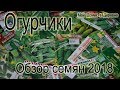 Огурцы 2018 ! Обзор семян ! Мой выбор!